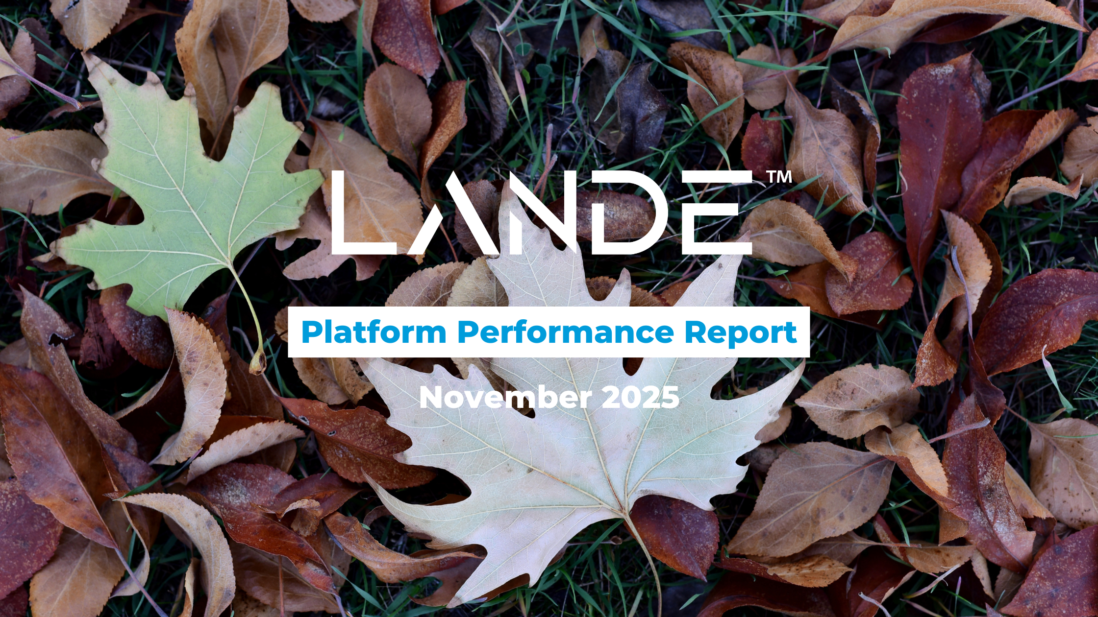 Image alt text